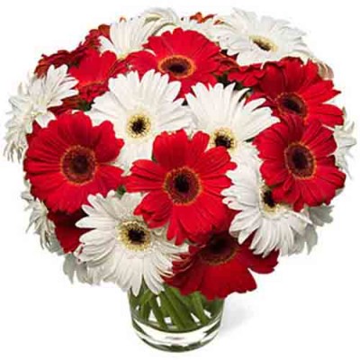 Online Flowers to Hyderabad