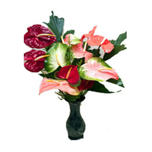 Valentine's Day Flowers to Hyderabad