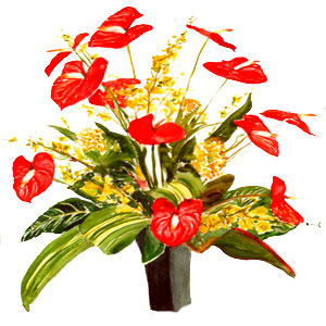 Christmas Flowers to Hyderabad
