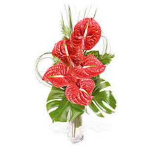 Wedding Flowers to Hyderabad