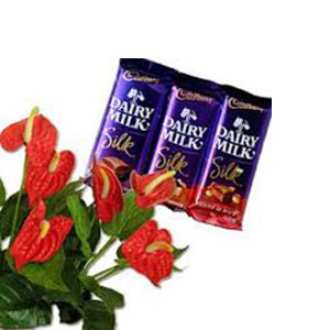 Online Flowers to Hyderabad