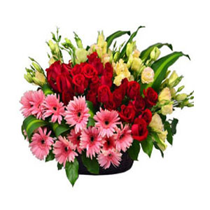 Valentines Flowers to Hyderabad