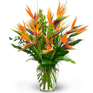 Online Flowers to Hyderabad