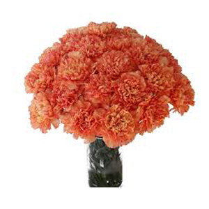 Online Flowers to Hyderabad