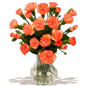 Send Flowers to Hyderabad