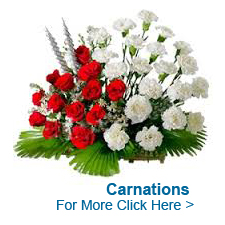 Valentine's Day Flowers to Hyderabad