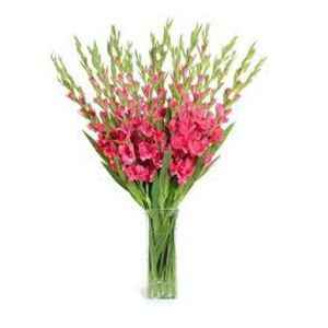 Deliver Christmas Flowers to Hyderabad