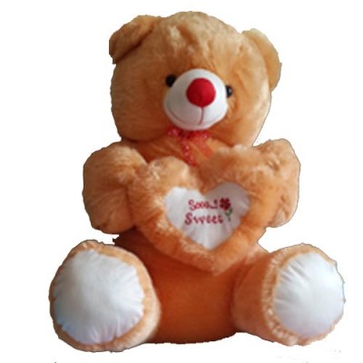 Deliver Softtoys with Flowers to Hyderabad