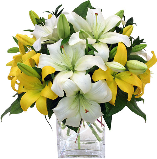 Anniversary Flowers to Hyderabad